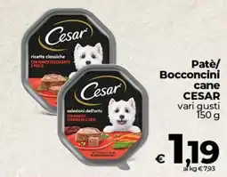 Coop Patè/ Bocconcini cane CESAR offerta