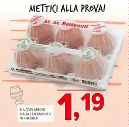 Todis 6 uova medie da allevamento in gabbia offerta