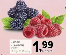 Todis More - lamponi offerta