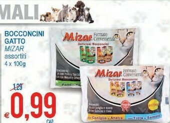 Mizar bocconcini gatto