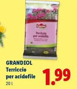 Lidl Grandiol Terriccio per acidofile offerta