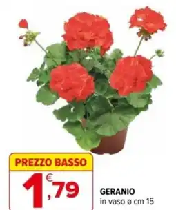 Iperal Geranio offerta