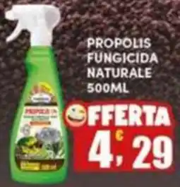Maury's Propolis fungicida naturale offerta