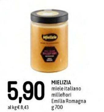 Famila Mielizia Miele Italiano Millefiori Emilia Romagna 700g offerta