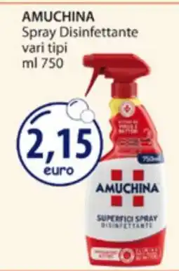 Acqua & Sapone AMUCHINA offerta