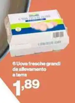 In'S Mercato 6 Uova fresche grandi da allevamento a terra offerta