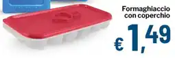 Qui Discount Formaghiaccio con coperchio offerta