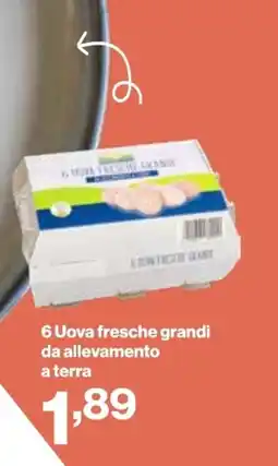 In'S Mercato 6 Uova fresche grandi da allevamento a terra offerta