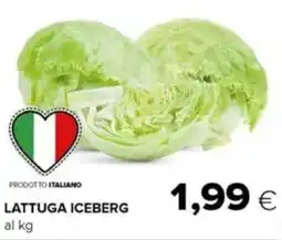 Tigre Lattuga iceberg offerta