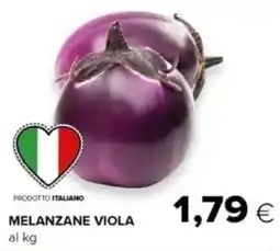 Tigre Melanzane viola offerta