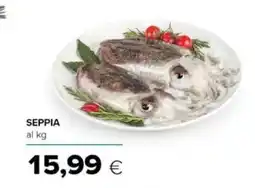 Tigre Seppia offerta