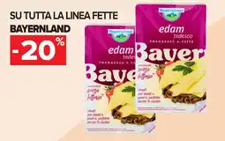 Carrefour Su tutta la linea BAYERNLAND offerta