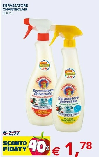 Esselunga Sgrassatore offerta