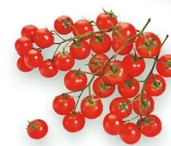 Esselunga Pomodoro di pachino igp offerta