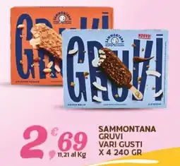 Extra Supermercati Sammontana gruvi offerta