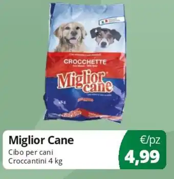 Miglior Cane Cibo per cani Croccantini