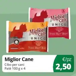 Acqua & Sapone Miglior Cane Cibo per cani Patè offerta