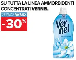 Carrefour Su tutta la linea ammorbidenti concentrati VERNEL offerta