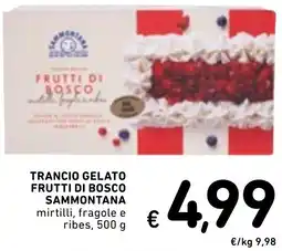 Spazio Conad Trancio gelato frutti di bosco SAMMONTANA offerta