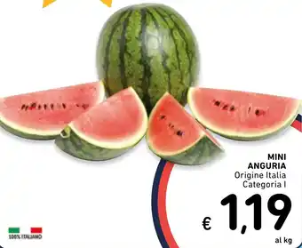 Spazio Conad Mini anguria offerta