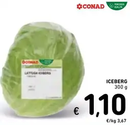 Spazio Conad Iceberg CONAD offerta