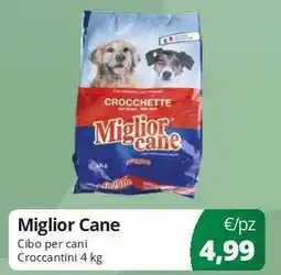 Acqua & Sapone Miglior Cane offerta