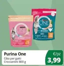 Acqua & Sapone Purina One offerta