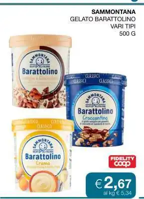 Coop SAMMONTANA Gelato Barattolino offerta