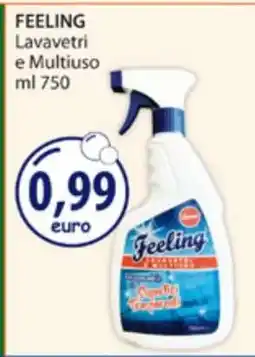 Acqua & Sapone FEELING Lavavetri e Multiuso offerta