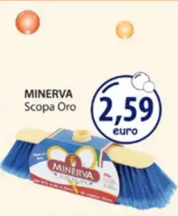 Acqua & Sapone MINERVA Scopa Oro offerta