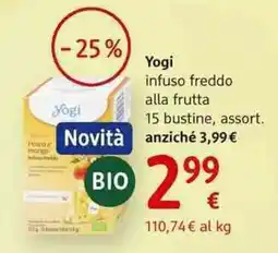 dm drogerie markt Yogi infuso freddo alla frutta offerta