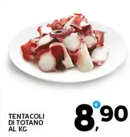 Extra Supermercati Tentacoli di totano offerta