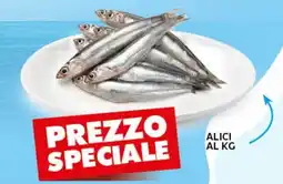 Extra Supermercati Alici offerta