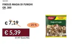 Prezzemolo e Vitale Findus magia di funghi offerta