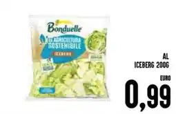 Al Discount Bonduelle al iceberg offerta