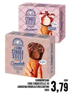 Al Discount Sammontana cono cinquestelle x6 amarena/modica/croccantino offerta