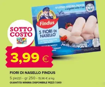 Tigre Fiori di nasello FINDUS offerta