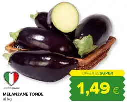 Tigre Melanzane tonde offerta