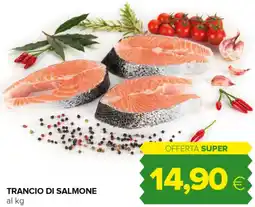 Tigre Trancio di salmone offerta