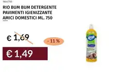 Prezzemolo e Vitale Rio bum bum detergente pavimenti igienizzante amici domestici offerta