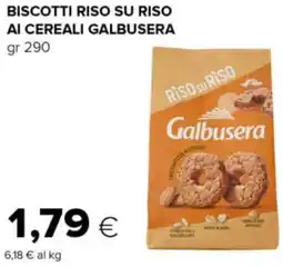 Tigre Biscotti riso su riso ai cereali GALBUSERA offerta