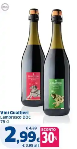 Sigma Vini Gualtieri Lambrusco DOC offerta