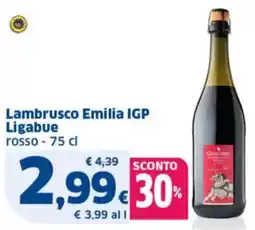 Sigma Lambrusco Emilia IGP Ligabue rosso offerta