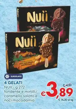 MD Discount 4 gelati nuii fondente e mirtilli/ caramello salato e noci macadamia offerta