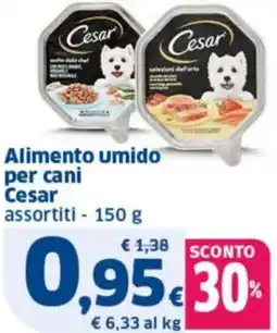 Sigma Alimento umido per cani Cesar offerta