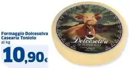 Sigma Formaggio Dolceselva Casearia Toniolo offerta