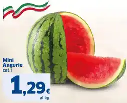 Sigma Mini Angurie offerta