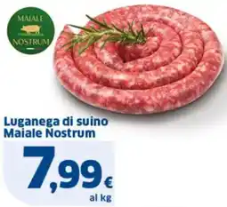 Sigma Luganega di suino Maiale Nostrum offerta