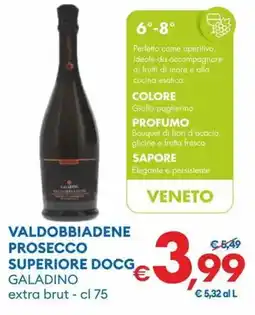 MD Discount Valdobbiadene prosecco superiore docg galadino extra brut offerta
