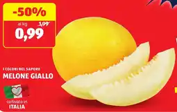 ALDI I colori del sapore melone giallo offerta